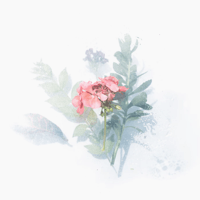 flower-product-01